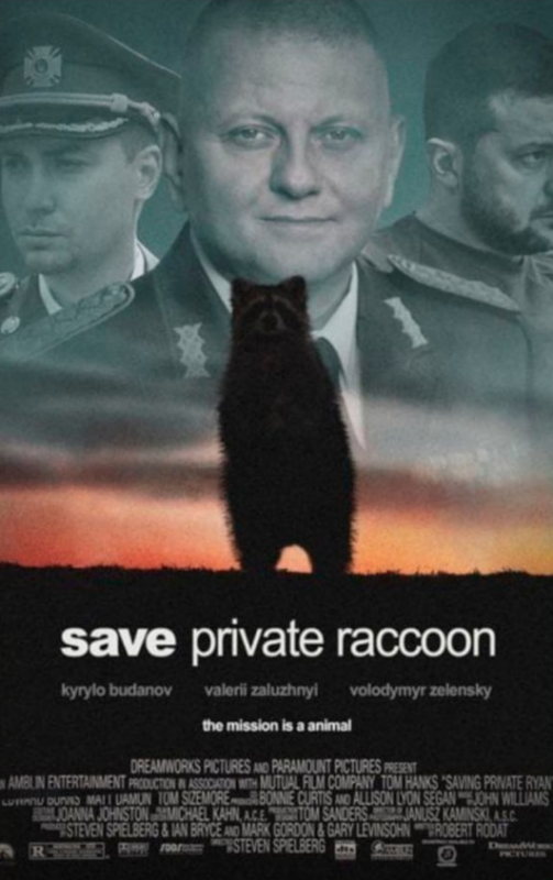Енот из Херсона