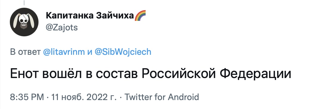 Енот из Херсона