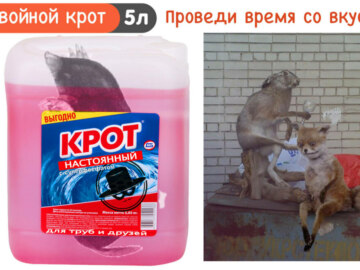 Кротовуха