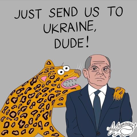 леопардовый флешмоб