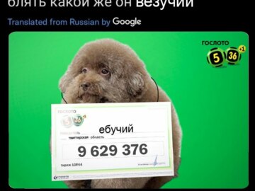 Блять какой же он ебучий