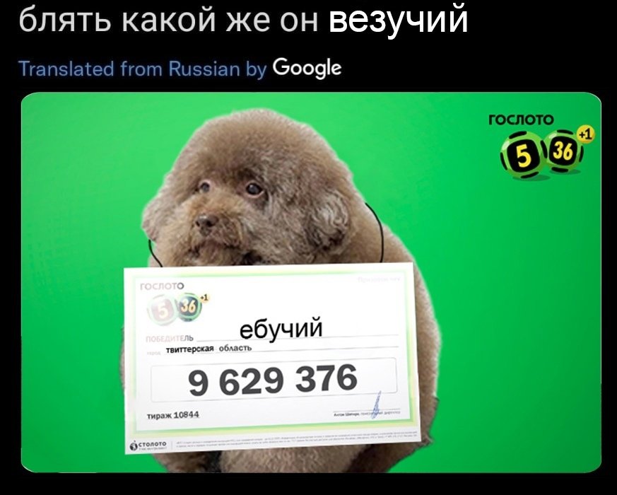 Блять какой же он ебучий