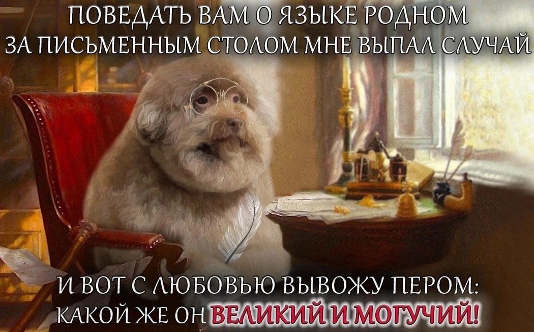 Блять какой же он ебучий