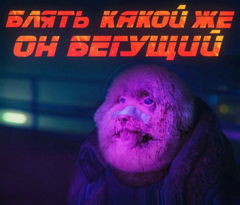 Блять какой же он ебучий