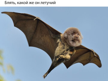 Блять какой же он ебучий