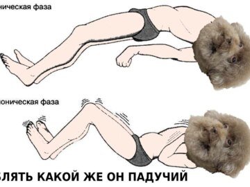 Блять какой же он ебучий