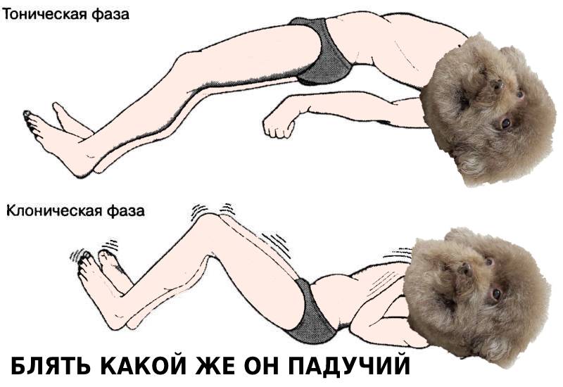 Блять какой же он ебучий