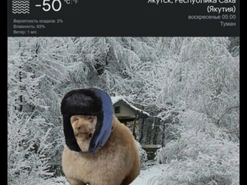 Блять какой же он ебучий