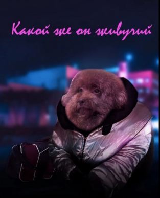Блять какой же он ебучий