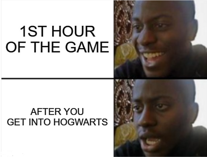 Мемы про hogwarts legacy