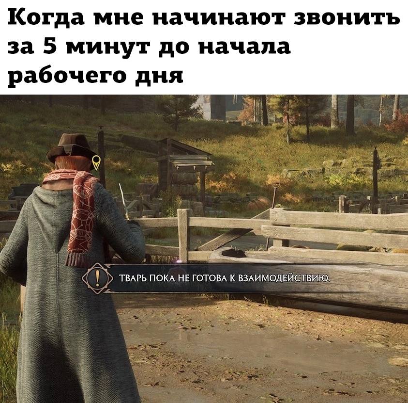мемы февраля 2023 мемы февраля 2023