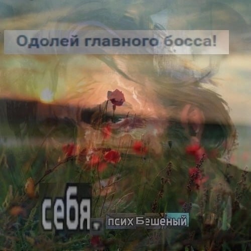 Мемы про Гарри Дюбуа