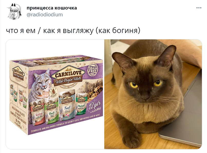 Что я ем