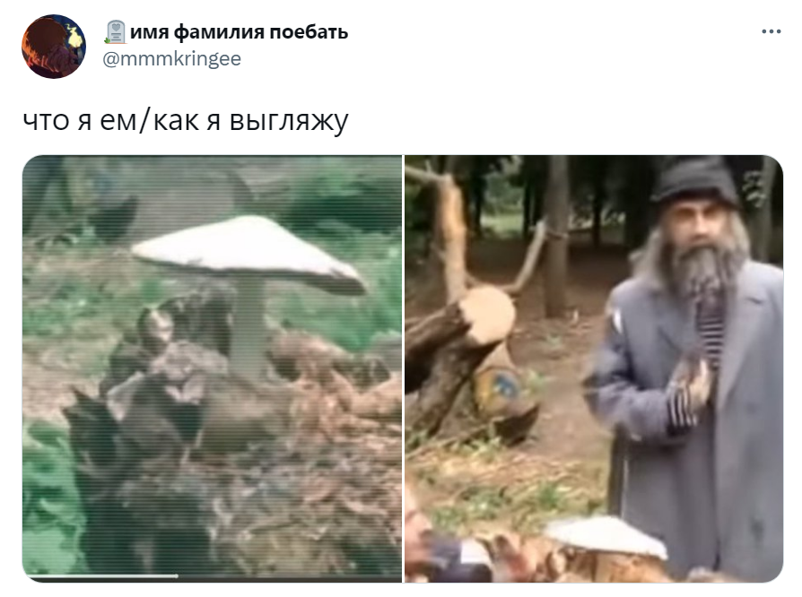 Что я ем