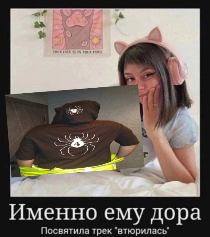 чвк редан чвк редан