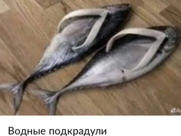 Подкрадули