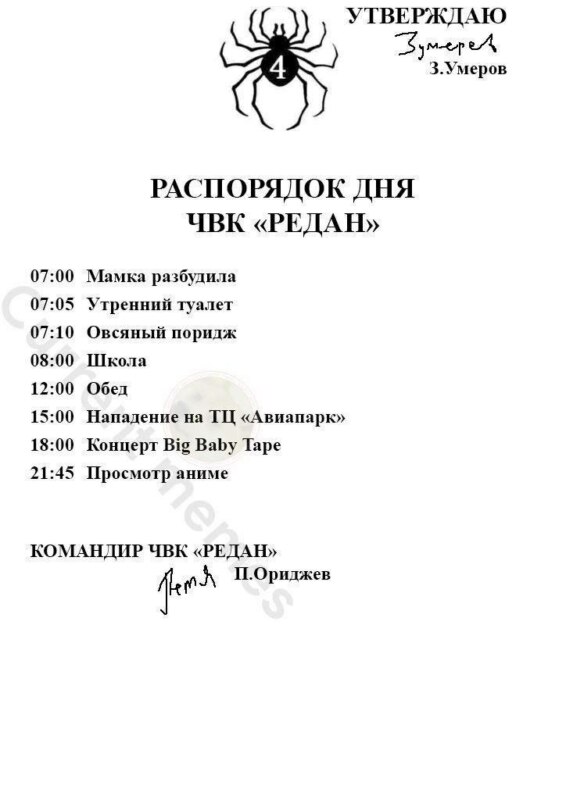 распорядок дня чвк редан распорядок дня чвк редан