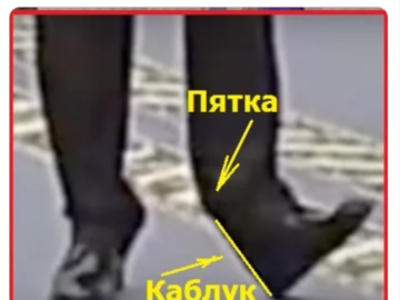 Бархатные тяги