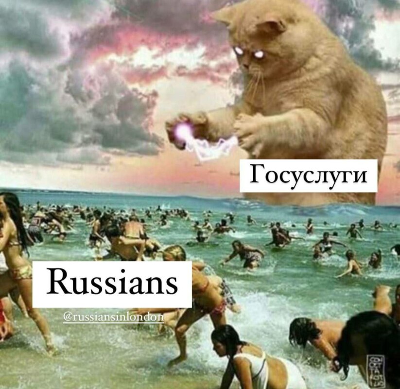 электронная повестка госуслуги мемы электронная повестка госуслуги мемы