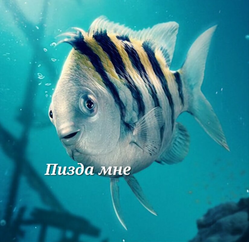 flounder mermaid meme