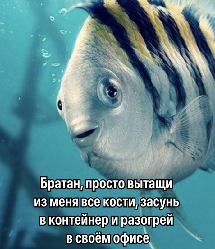 флаундер русалочка мем