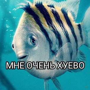 флаундер мем
