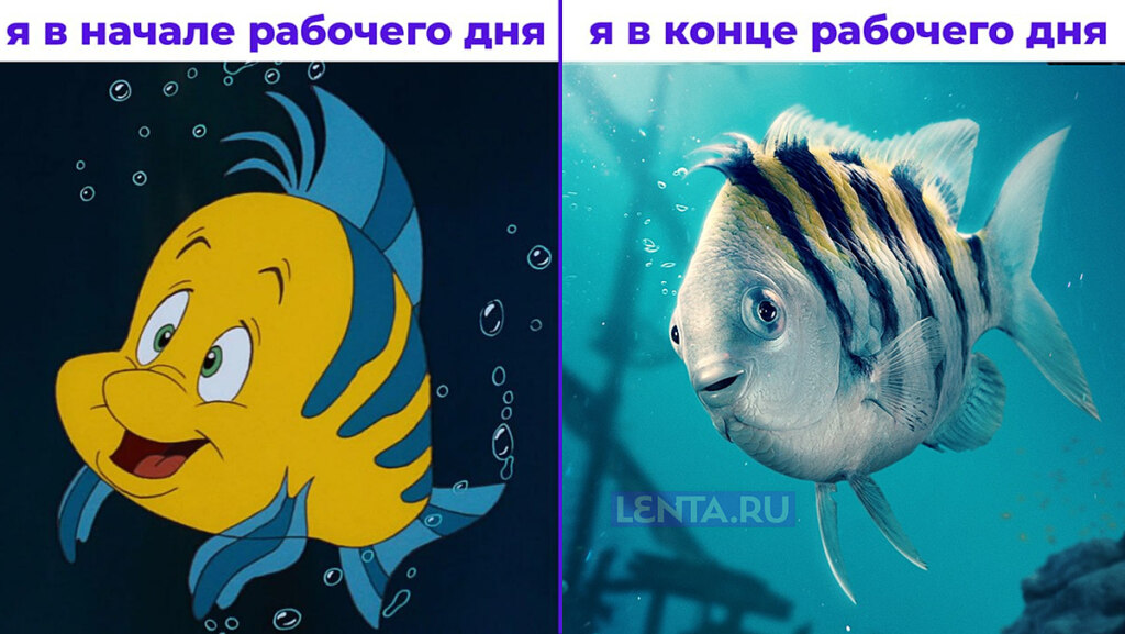 флаундер русалочка мем