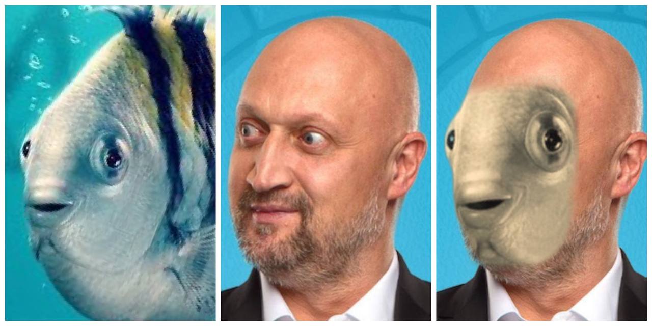 флаундер мем