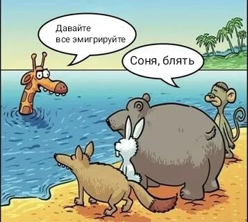 Олегу дали оффер Олегу дали оффер