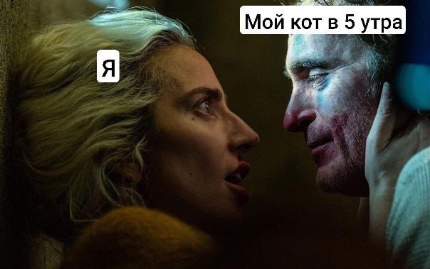 леди гага джокер мемы леди гага джокер мемы
