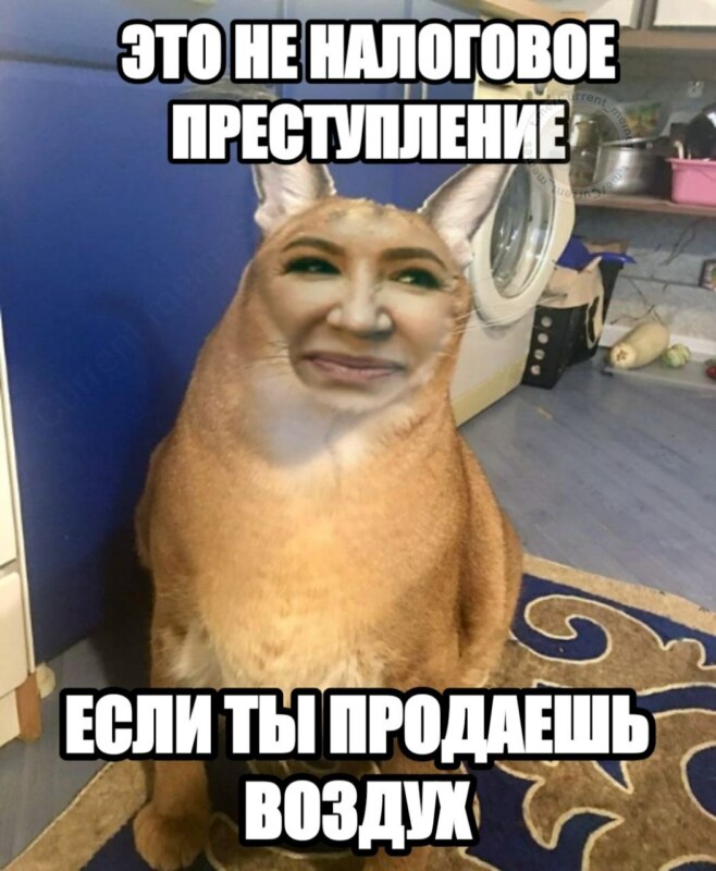 Елена Блиновская Елена Блиновская