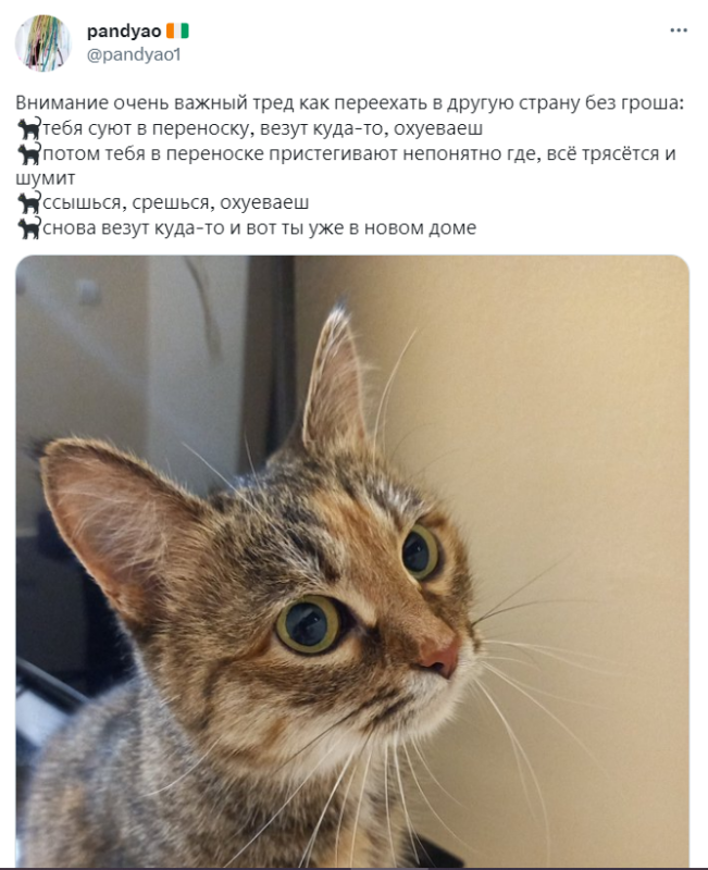 Олегу дали оффер Олегу дали оффер