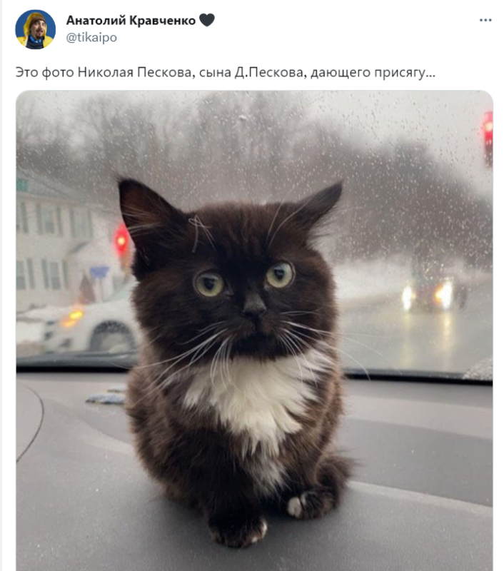 фото Николая Пескова