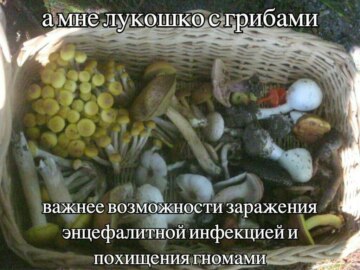 А мне X дороже Y