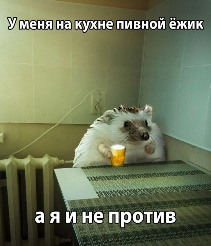 Пивной ежик