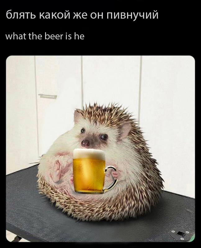 Пивной ежик