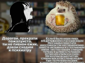 Пивной ежик