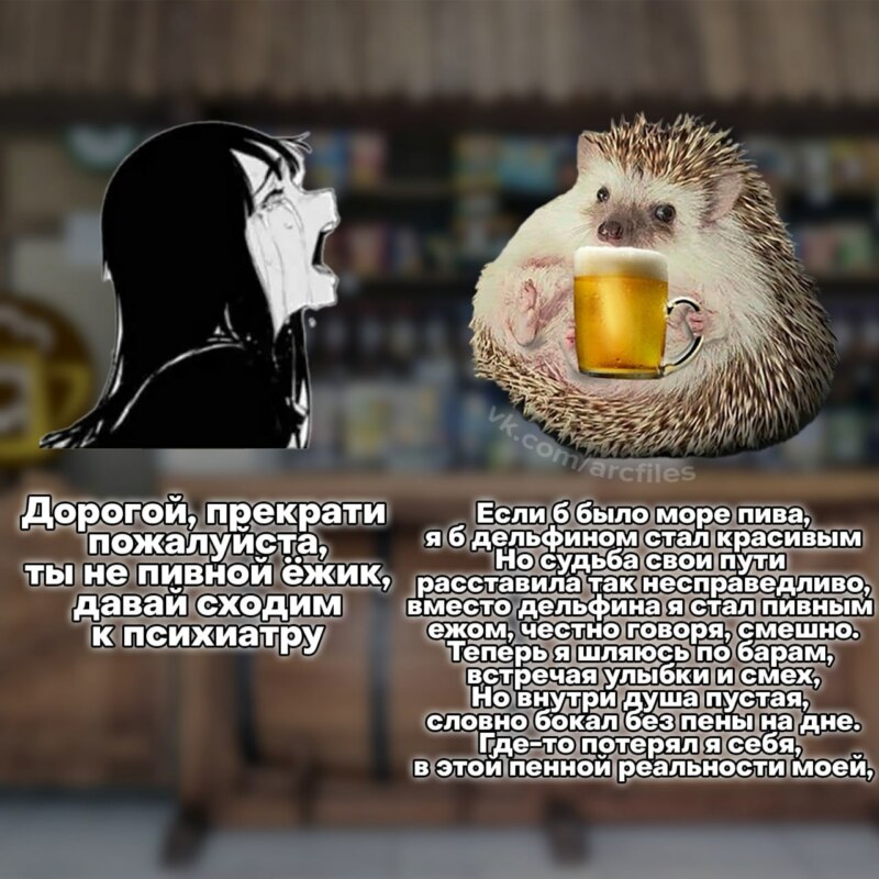 Пивной ежик