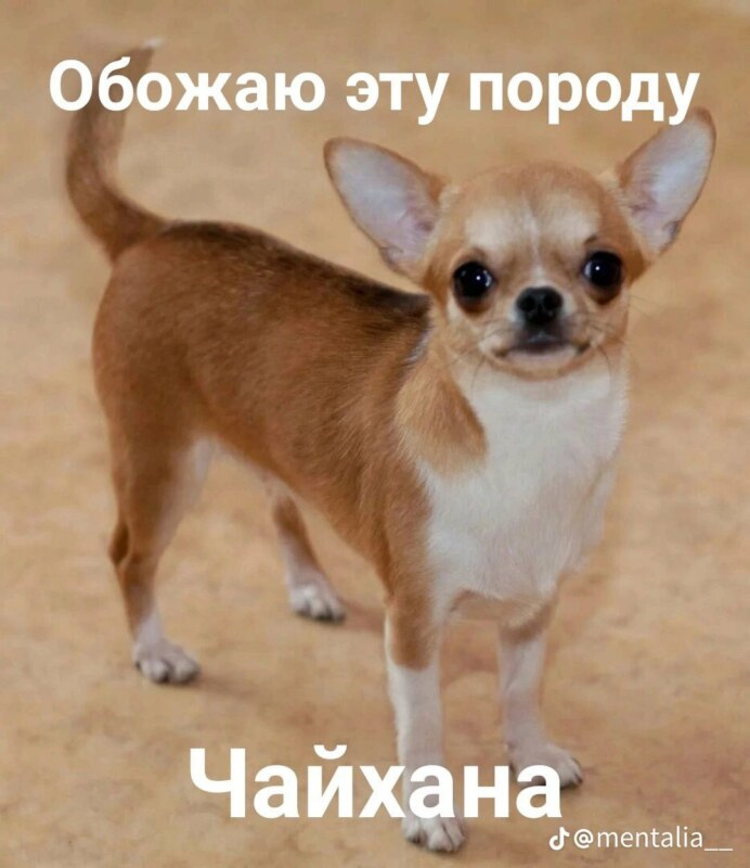 Обожаю это