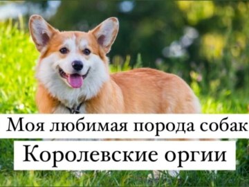 Обожаю это