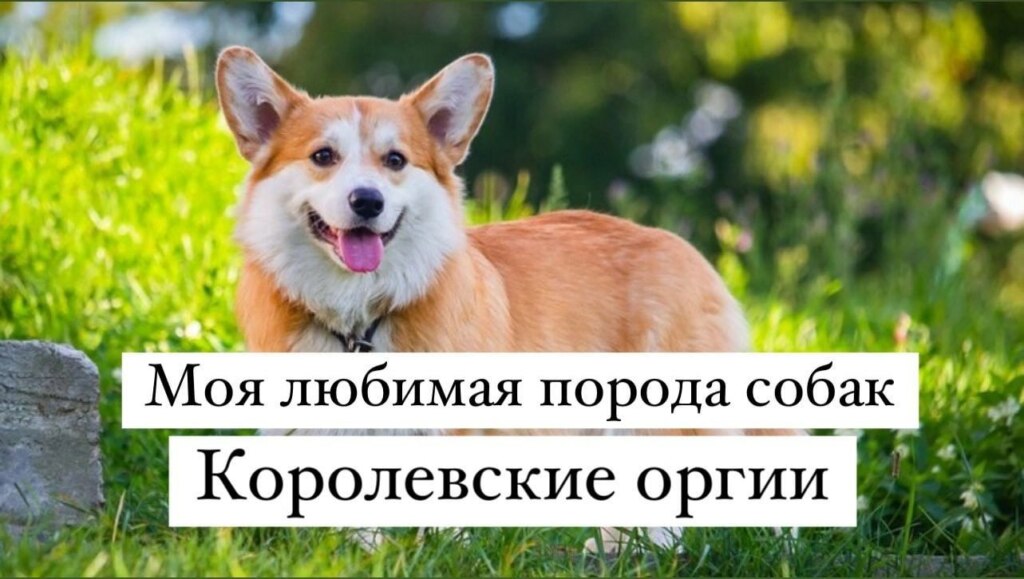Обожаю это