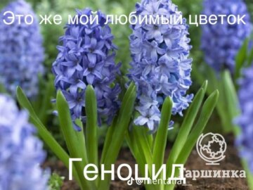 Обожаю это