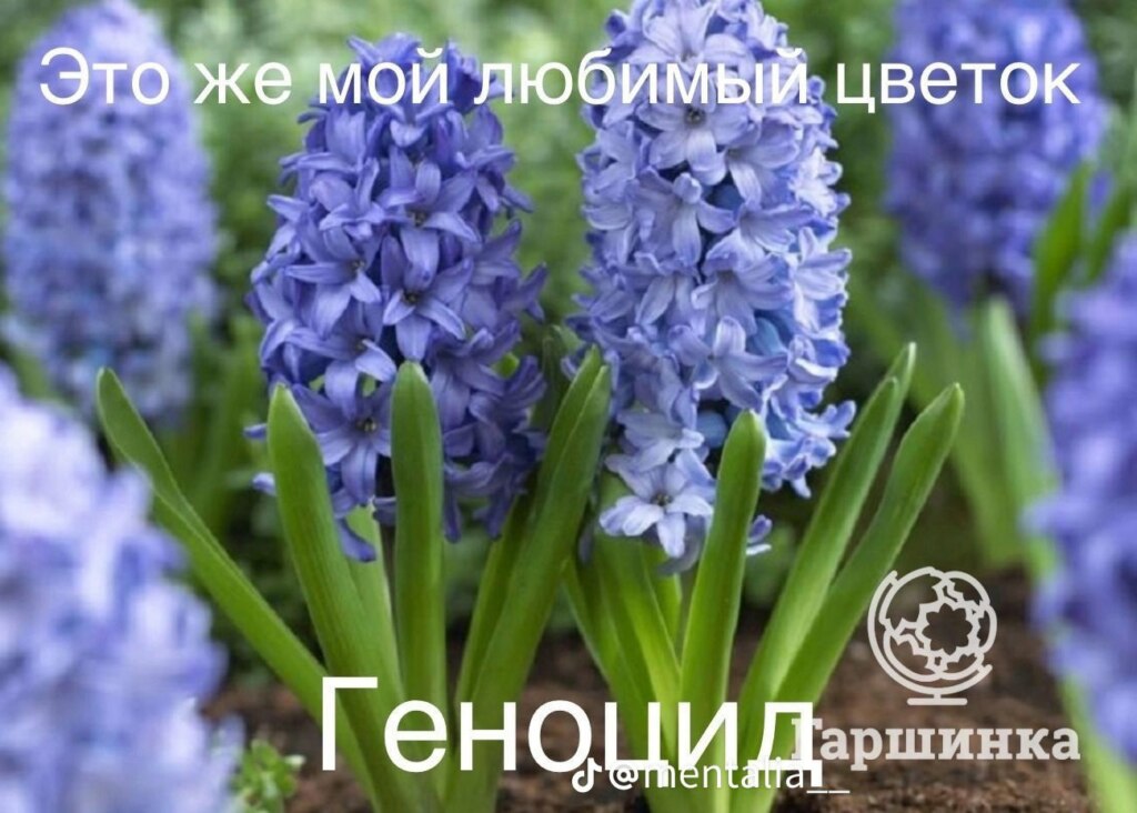 Обожаю это