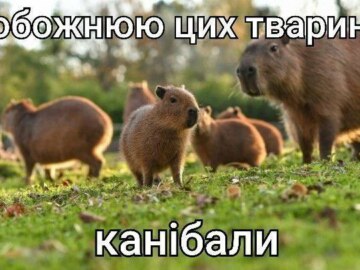 Обожаю это