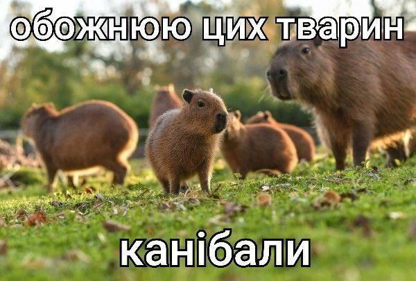 Обожаю это