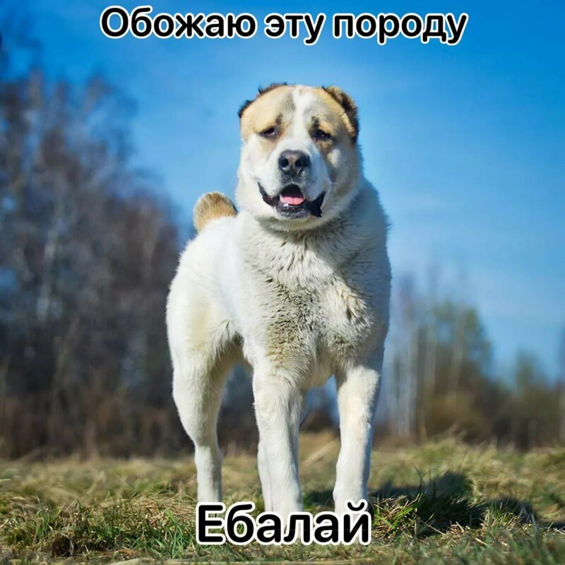 Обожаю это