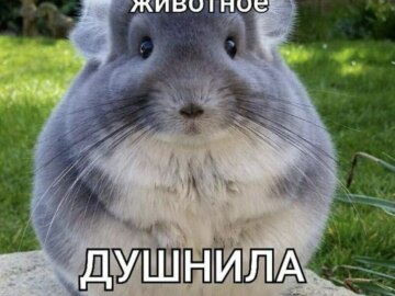 Обожаю это