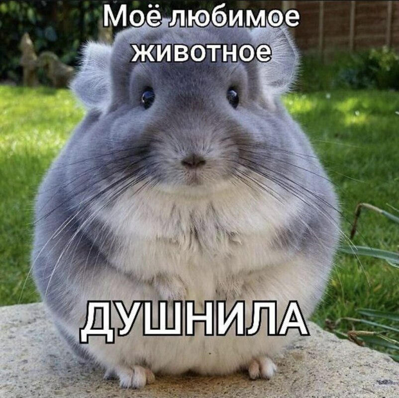 Обожаю это