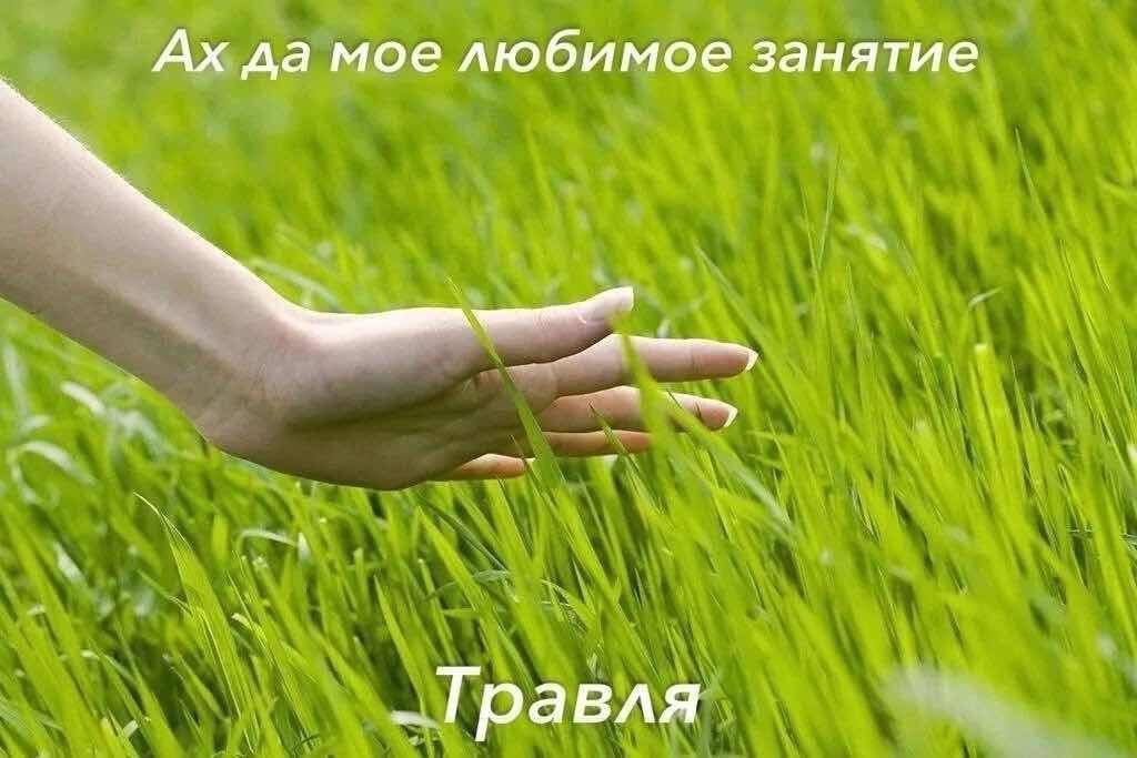 Обожаю это
