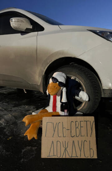 Гусь обнимусь